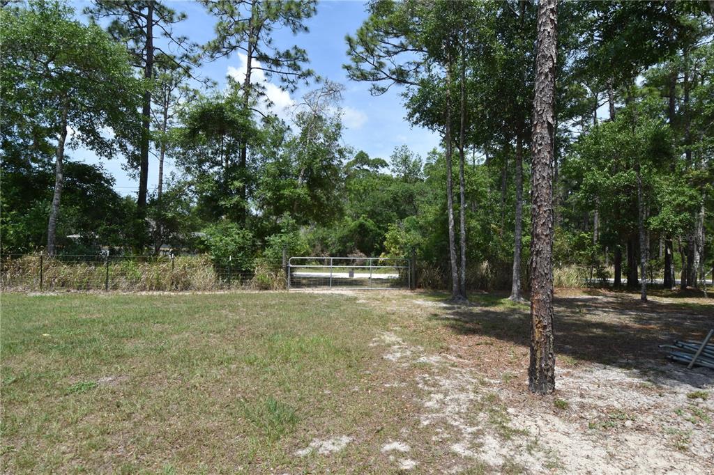 14241 Ravine Avenue Weeki Wachee, FL 34614 - Photo 33 of 48 a view of a street with trees and bushes