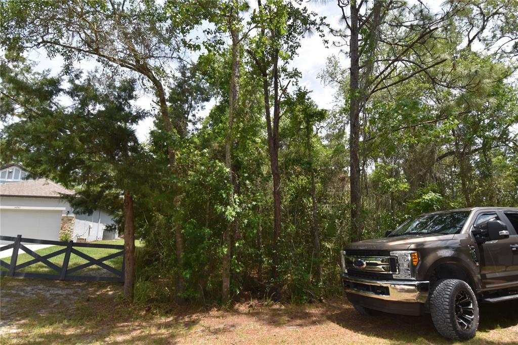 14241 Ravine Avenue Weeki Wachee, FL 34614 - Photo 37 of 48 a view of a car in front of a house