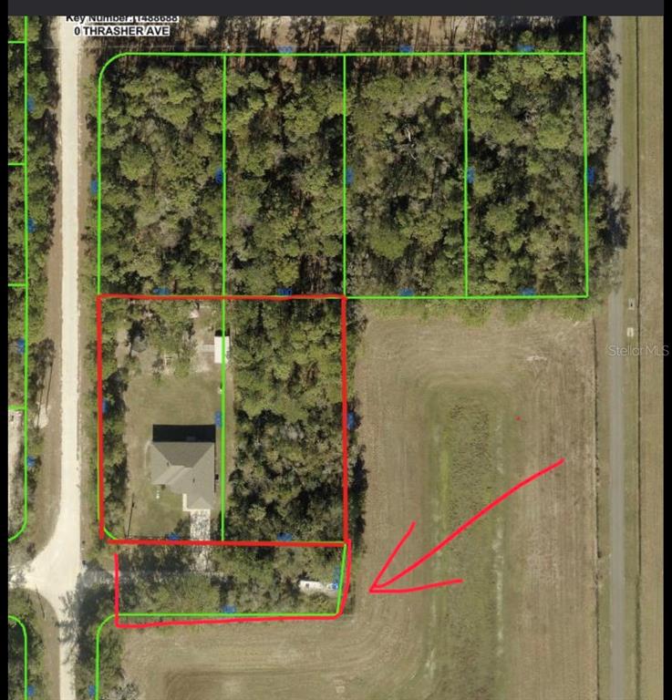 14241 Ravine Avenue Weeki Wachee, FL 34614 - Photo 47 of 48