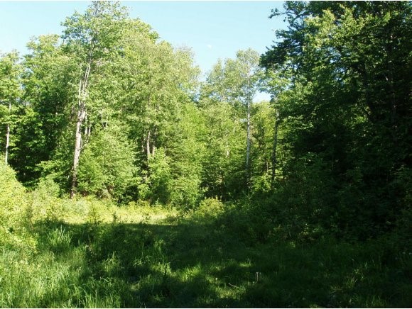 0 Morgan Rd East Wheelock, VT 05851 - Photo 1 of 1 Gallery Image 1