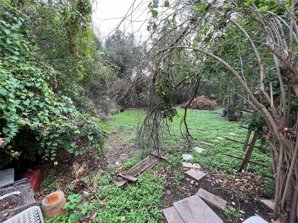 905 Neans Drive Austin, TX 78758 - Photo 7 of 40 a view of yard with green space