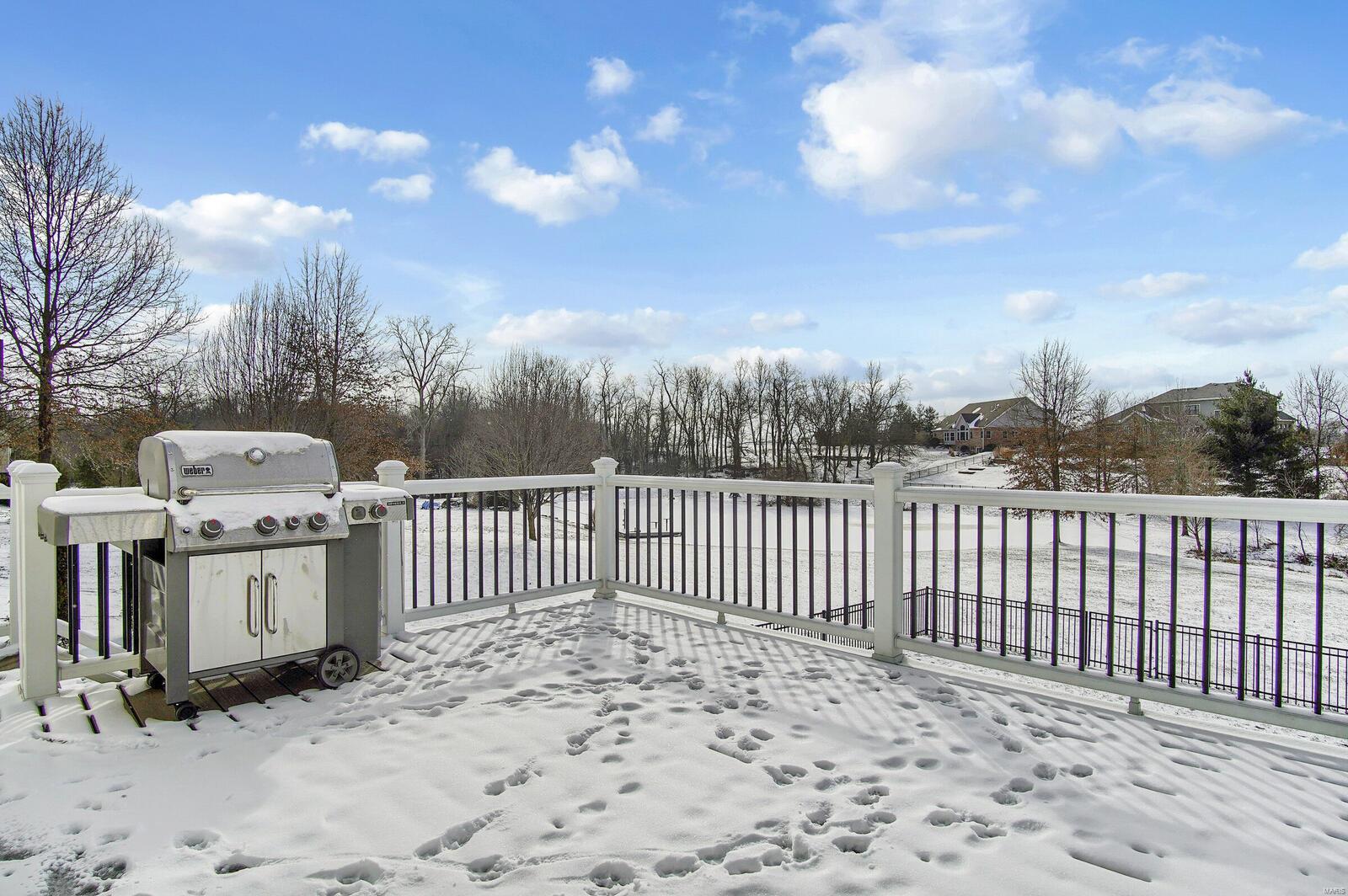 8414 Timber Ridge Drive Edwardsville, IL 62025 - Photo 36 of 46