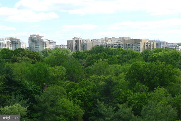 5101 River Road, Unit 1606 Bethesda, MD 20816 - Photo 2 of 3 View