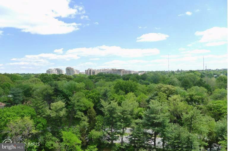 5101 River Road, Unit 1606 Bethesda, MD 20816 - Photo 3 of 3 View
