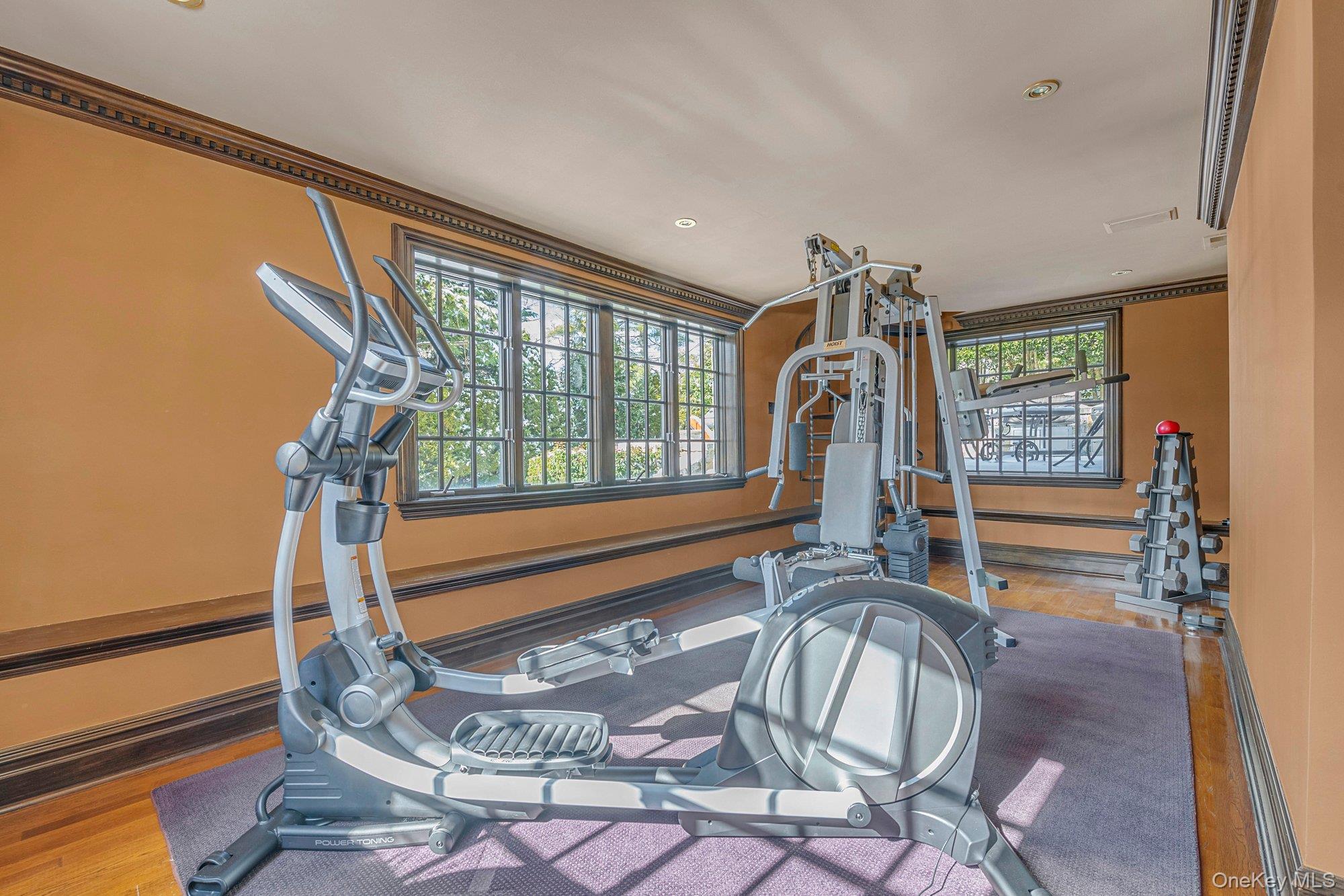 183 Mill Spring Road Manhasset, NY 11030 - Photo 23 of 32 Basement Gym