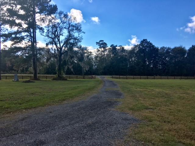 3402 Garner Road Ray City, GA 31645 - Photo 39 of 50 Gallery Image 39