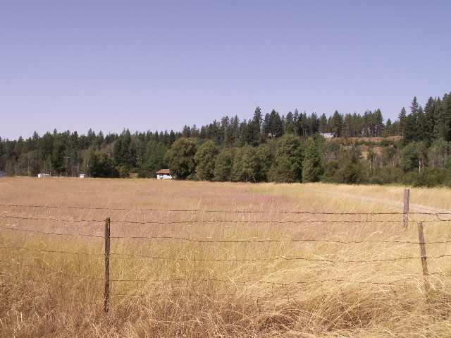 25217 North Regal Road Chattaroy, WA 99003 - Photo 8 of 9