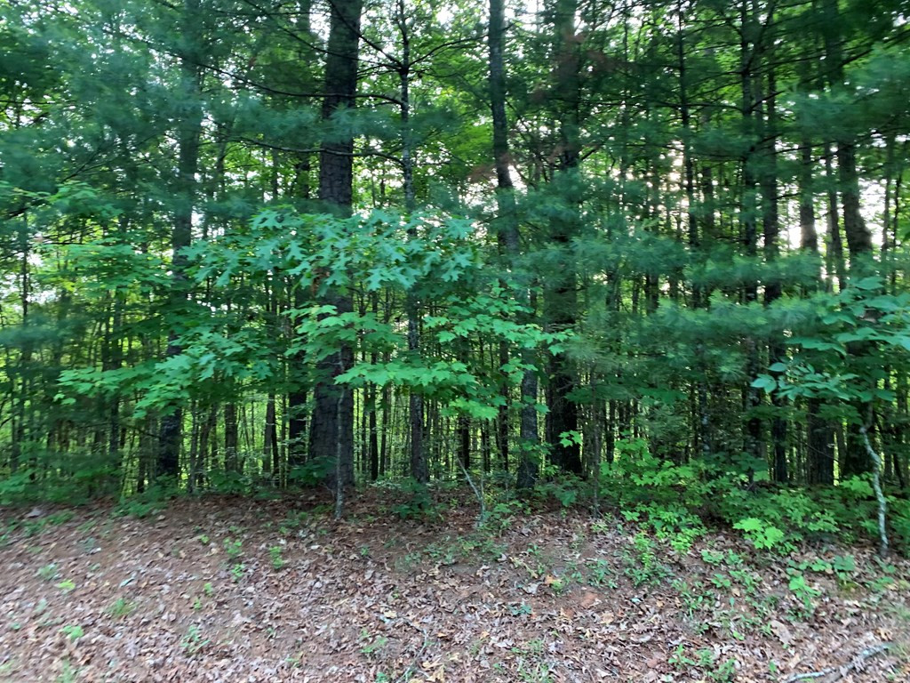 Lot 43 Kestrel Ridge Circle Murphy, NC 28906 - Photo 22 of 24 Gallery Image 22