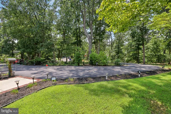 a view of a yard