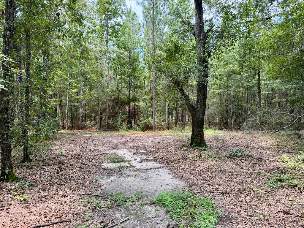 1640 Lafollette Road Slocomb, AL 36375 - Photo 23 of 64
