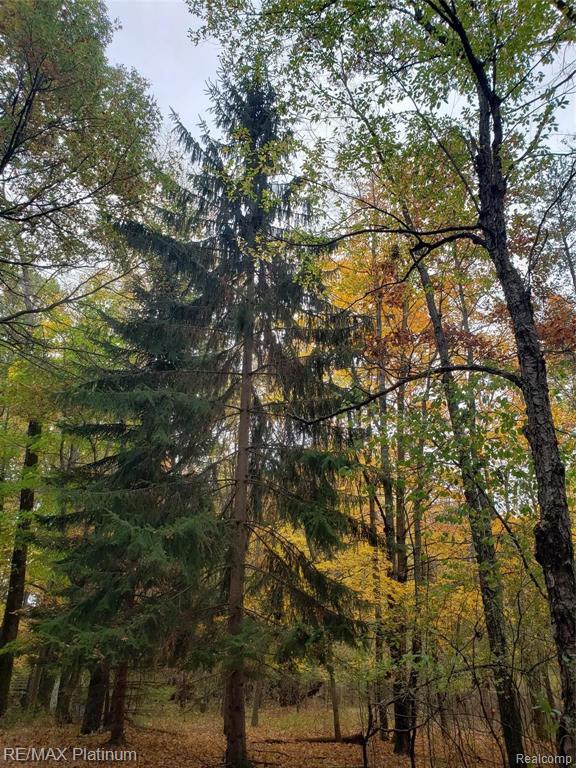 2 Wiggins Road Howell, MI 48855 - Photo 14 of 21