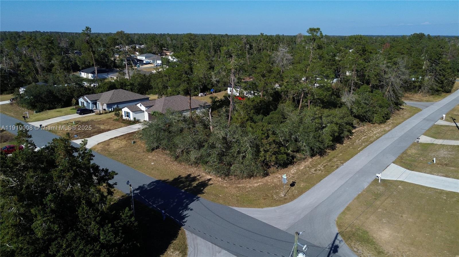 0 Southwest 167th Loop Ocala, FL 34473 - Photo 2 of 31 a view of a swimming pool with a yard and mountain view