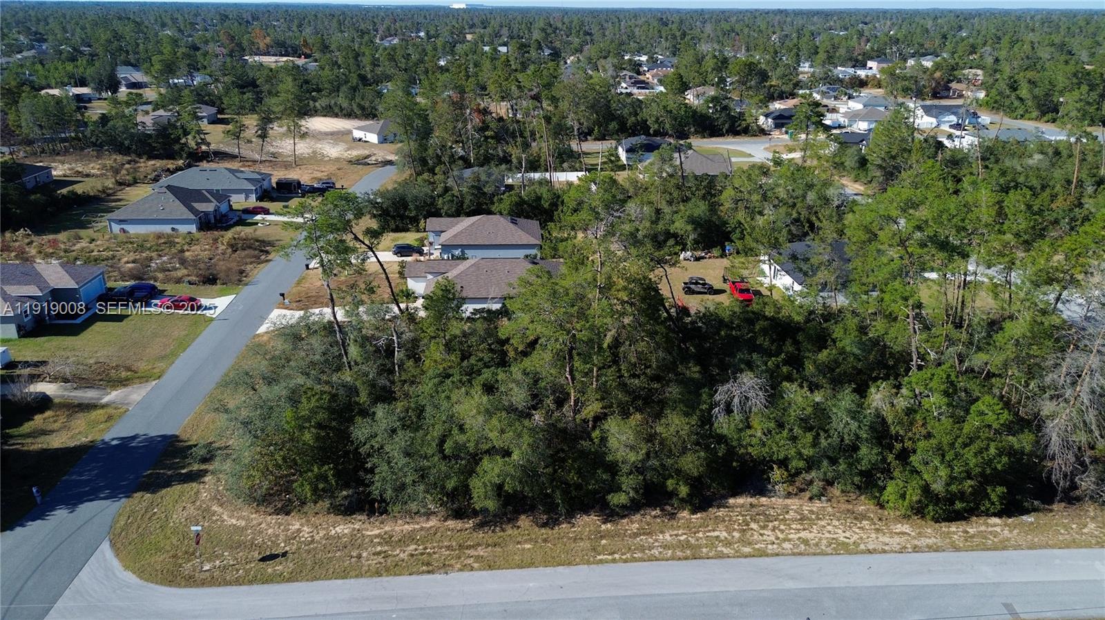 0 Southwest 167th Loop Ocala, FL 34473 - Photo 4 of 31 an aerial view of a house with yard swimming pool and lake view