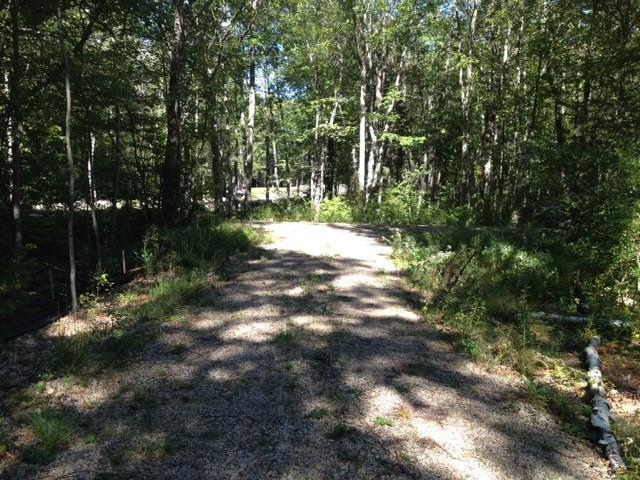 41 Horn Road York, ME 03909 - Photo 2 of 3 Driveway to Street