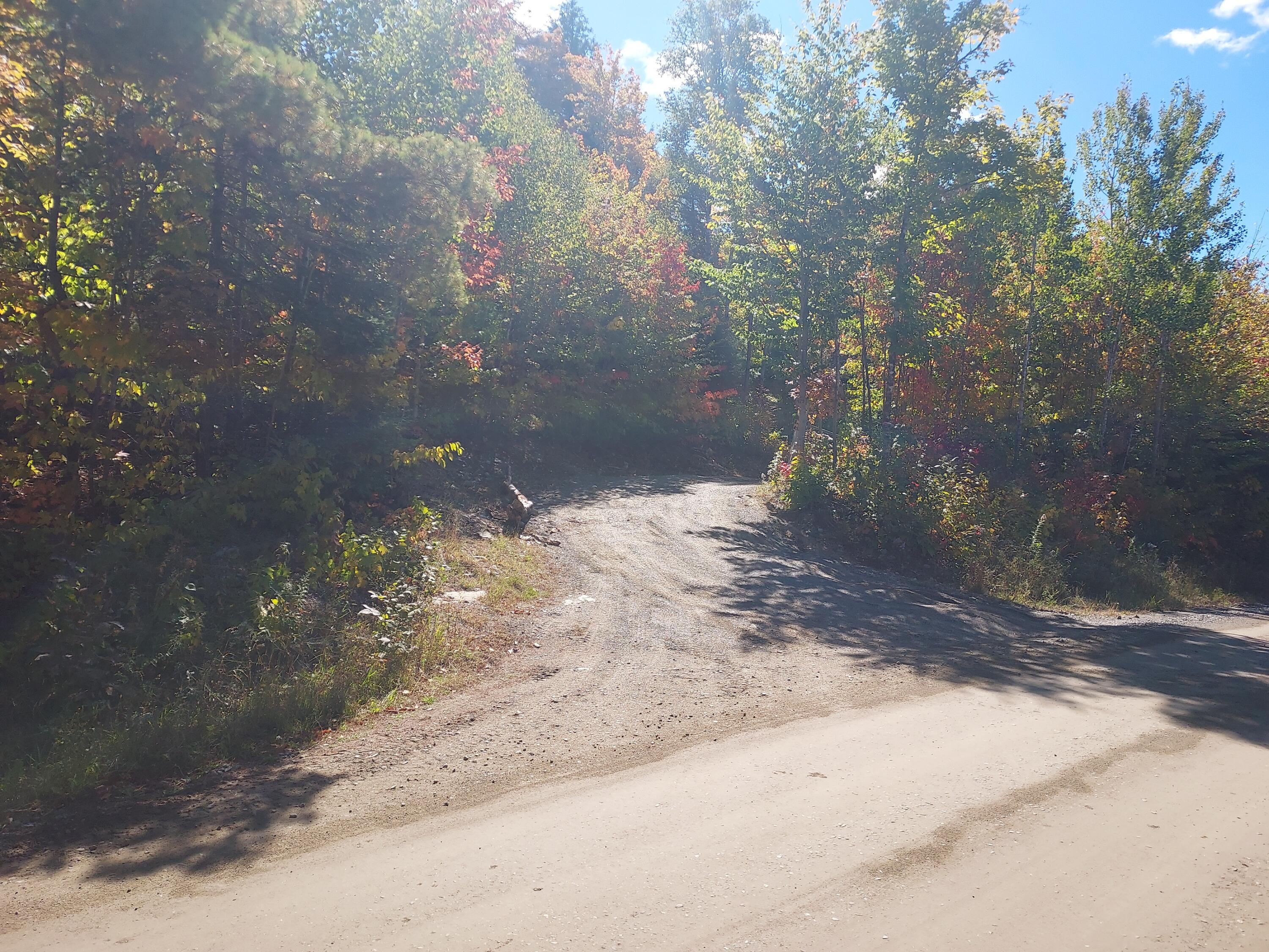 Beginning of Driveway (gate)