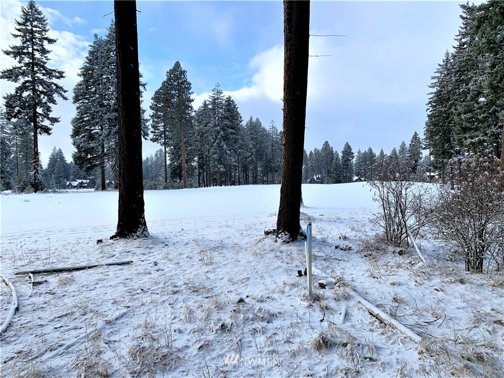 710 Spragger Way Cle Elum, WA 98922 - Photo 1 of 20 Gallery Image 1