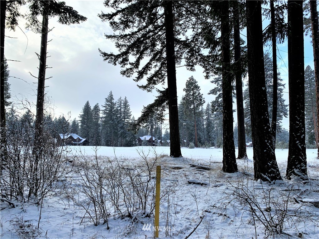 710 Spragger Way Cle Elum, WA 98922 - Photo 2 of 20 Gallery Image 2
