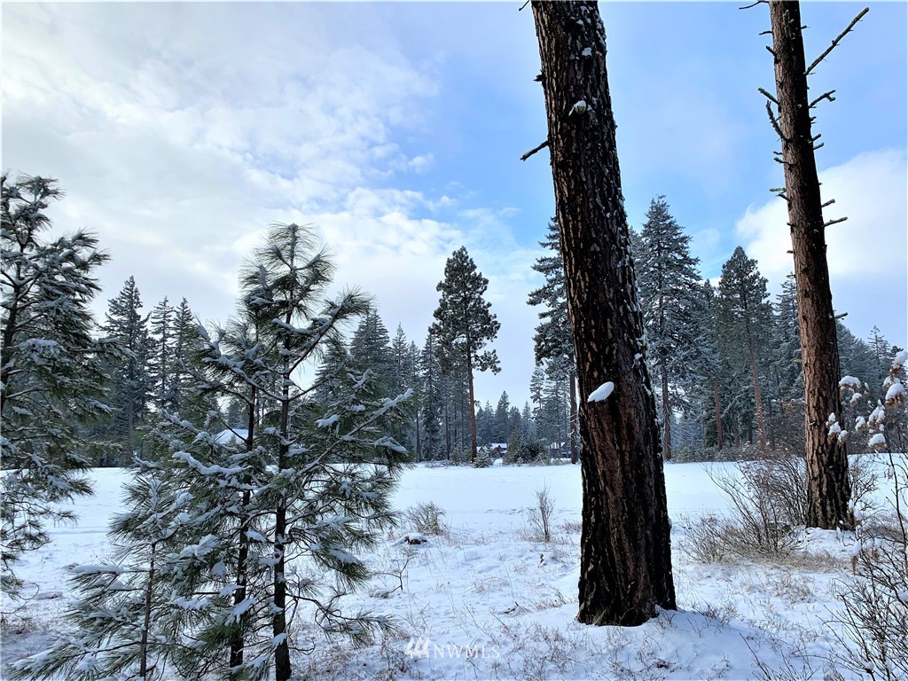 710 Spragger Way Cle Elum, WA 98922 - Photo 11 of 20 Gallery Image 11