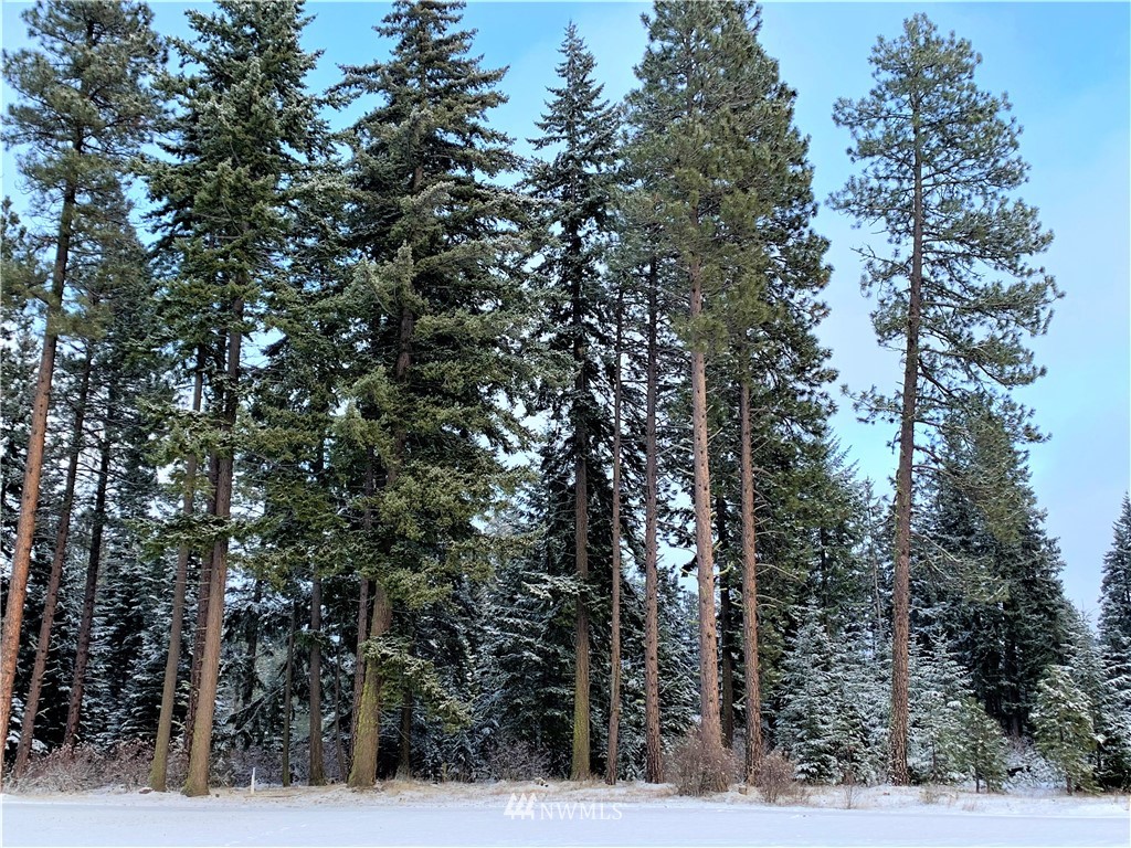 710 Spragger Way Cle Elum, WA 98922 - Photo 12 of 20 Gallery Image 12