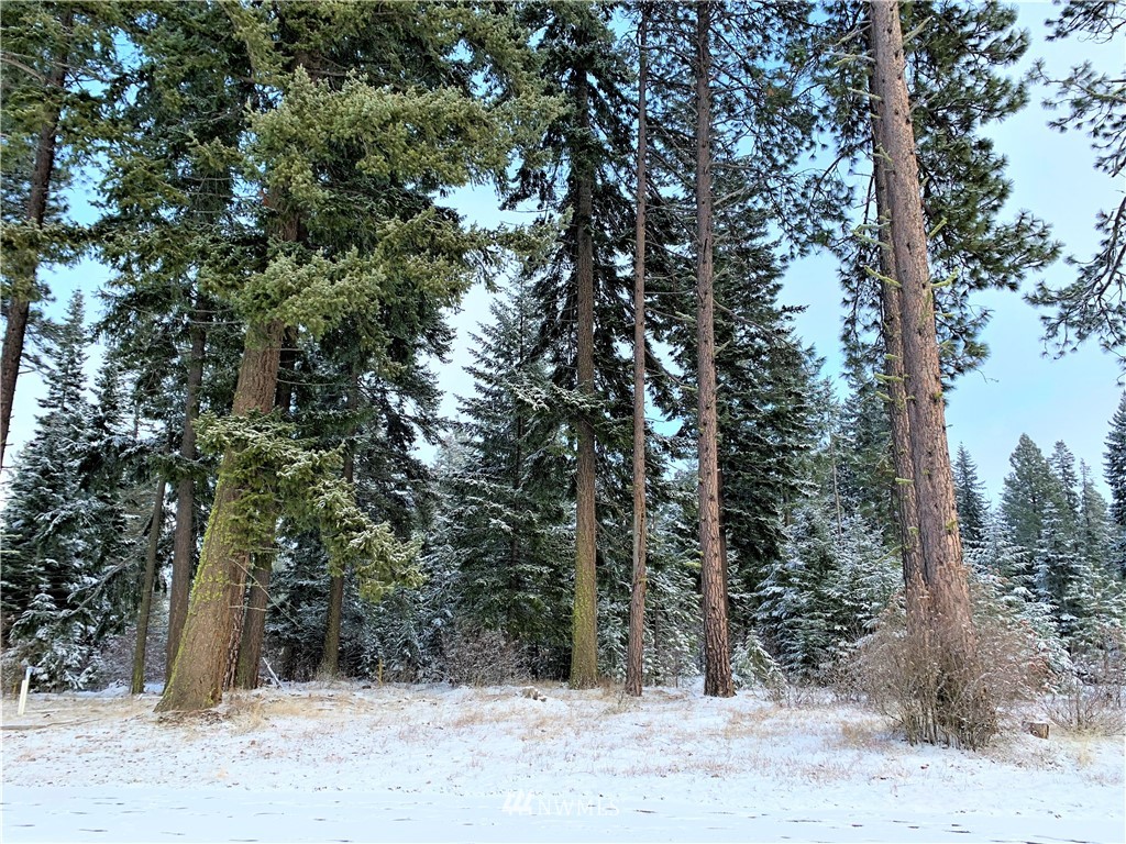710 Spragger Way Cle Elum, WA 98922 - Photo 13 of 20 Gallery Image 13