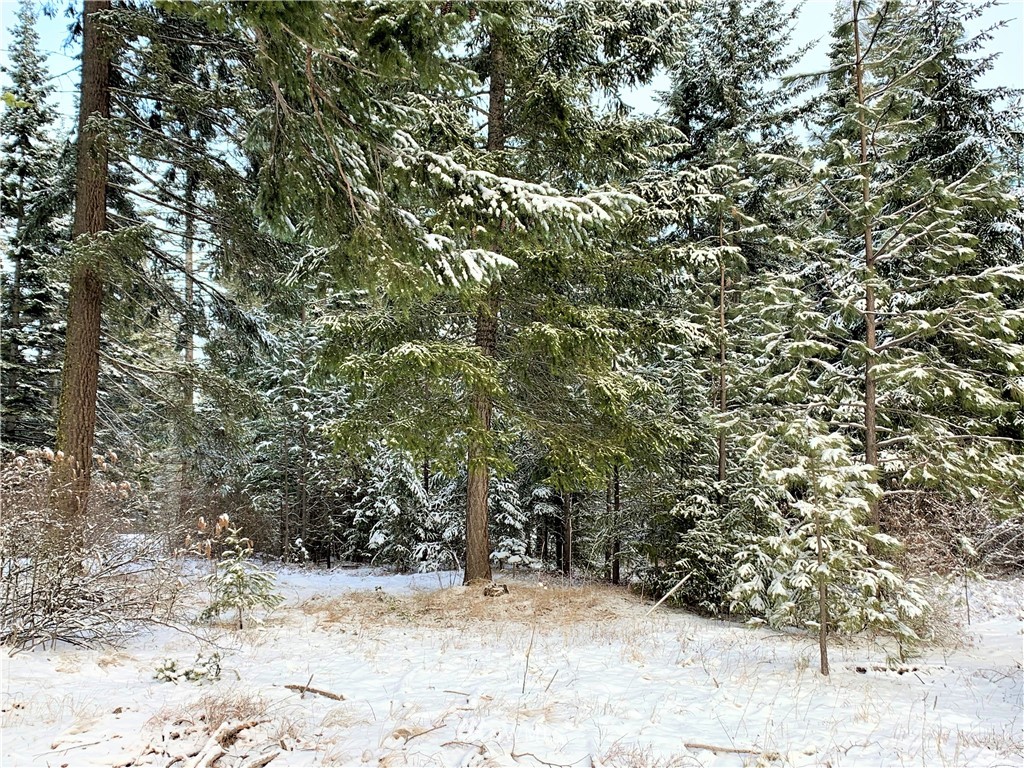 710 Spragger Way Cle Elum, WA 98922 - Photo 14 of 20 Gallery Image 14
