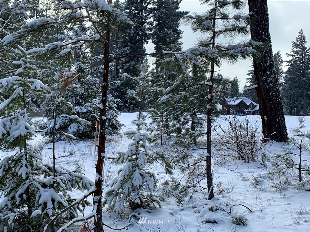 710 Spragger Way Cle Elum, WA 98922 - Photo 15 of 20 Gallery Image 15