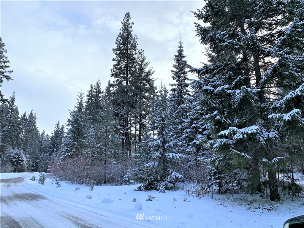710 Spragger Way Cle Elum, WA 98922 - Photo 16 of 20 Gallery Image 16