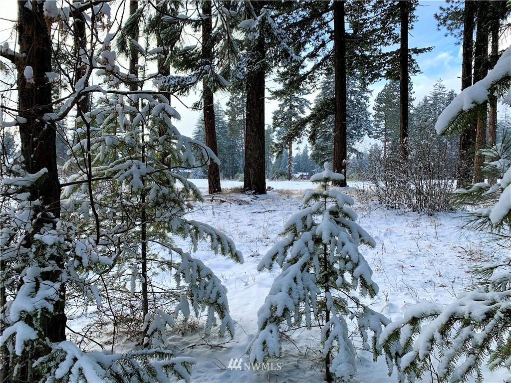 710 Spragger Way Cle Elum, WA 98922 - Photo 8 of 20 Gallery Image 8