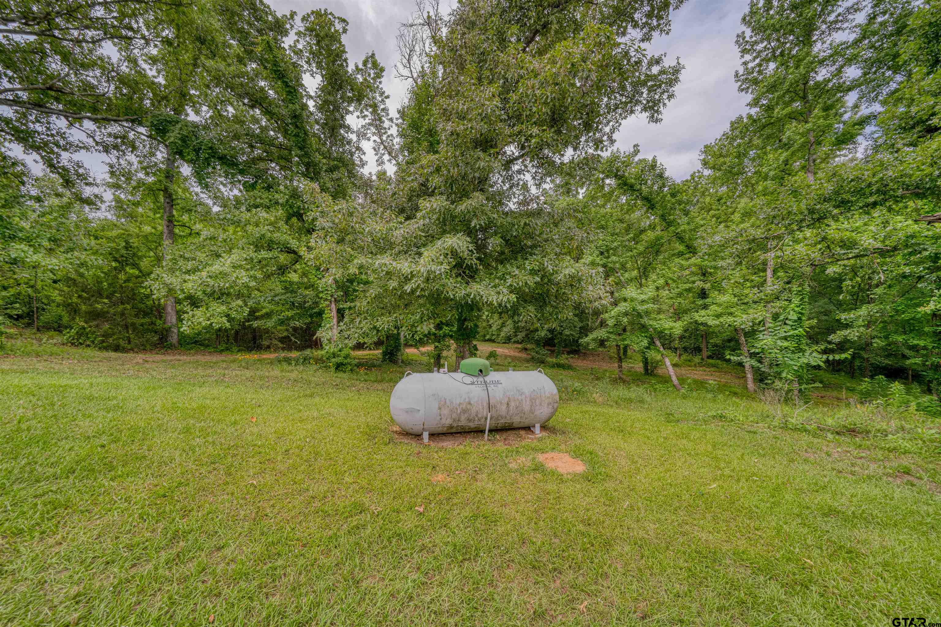 1776 Mustang Road Gilmer, TX 75645 - Photo 8 of 45 a backyard of a house with lots of green space