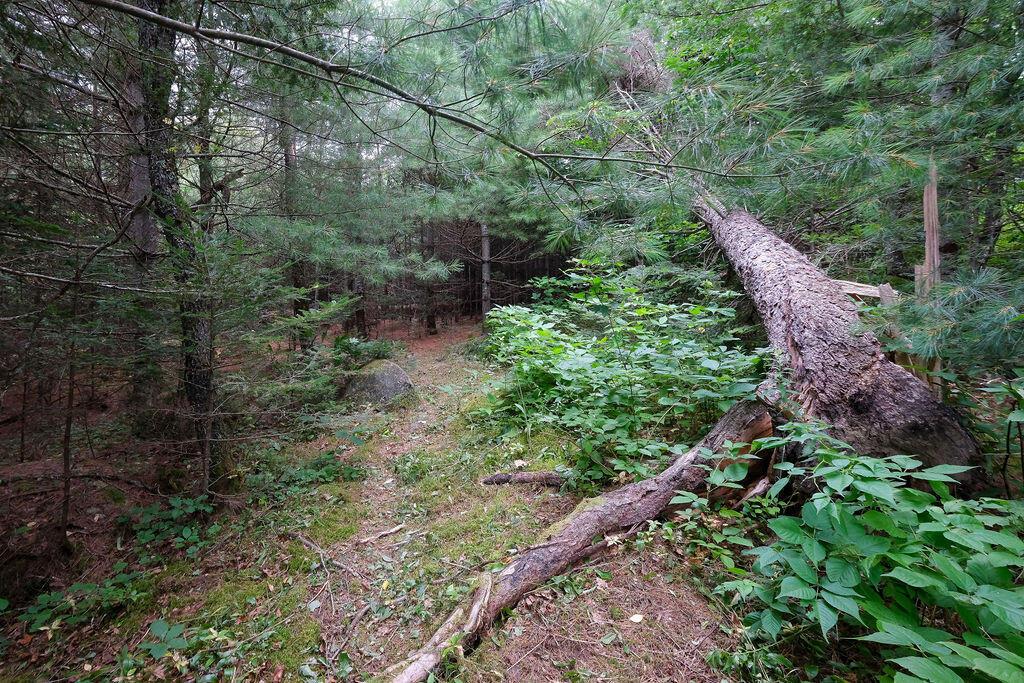 31 Osprey Point Road Sedgwick, ME 04676 - Photo 45 of 71 31 Osprey Point Road, Sedgwick