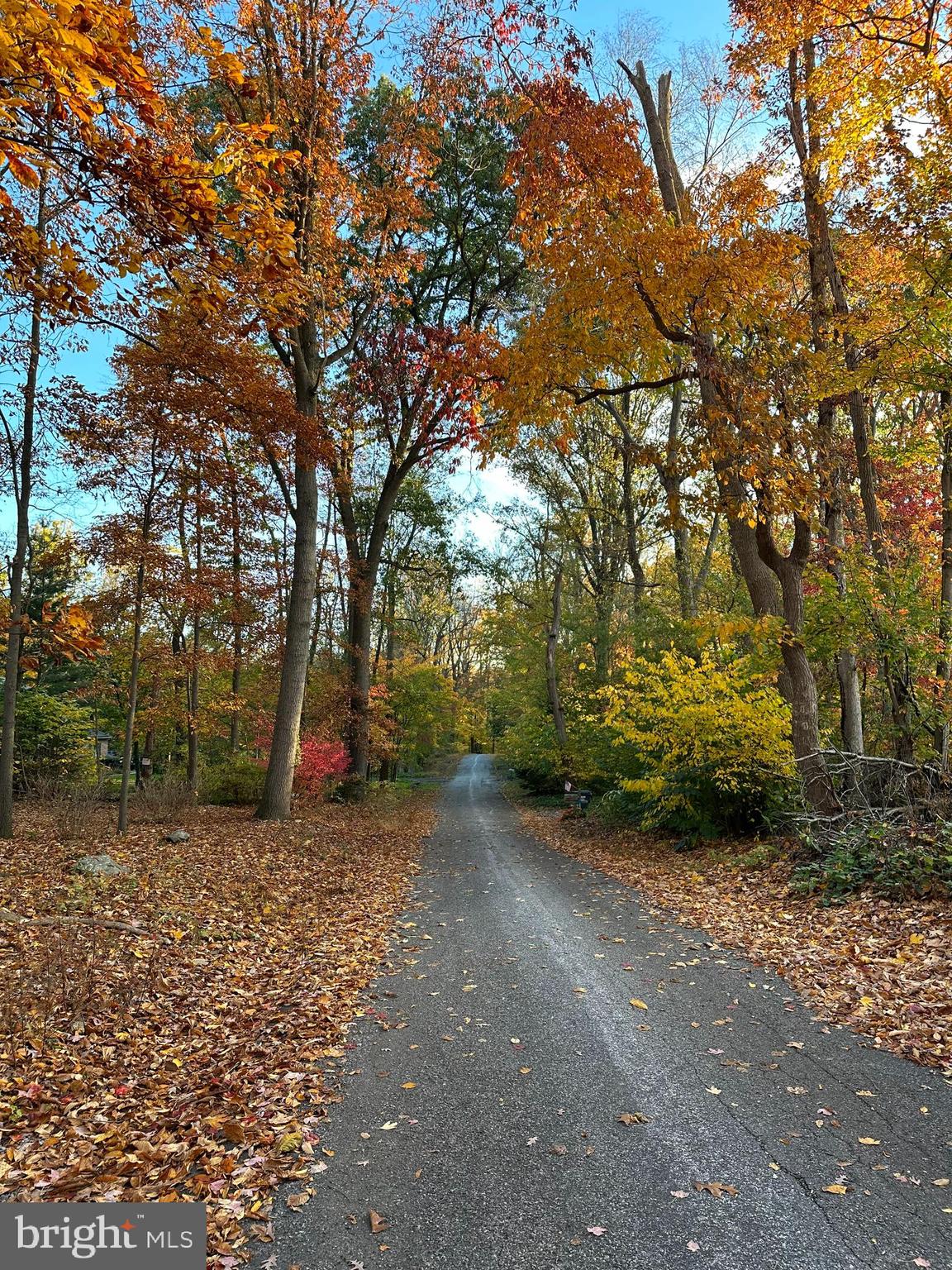 146 Oak Road Conestoga, PA 17516 - Photo 60 of 68