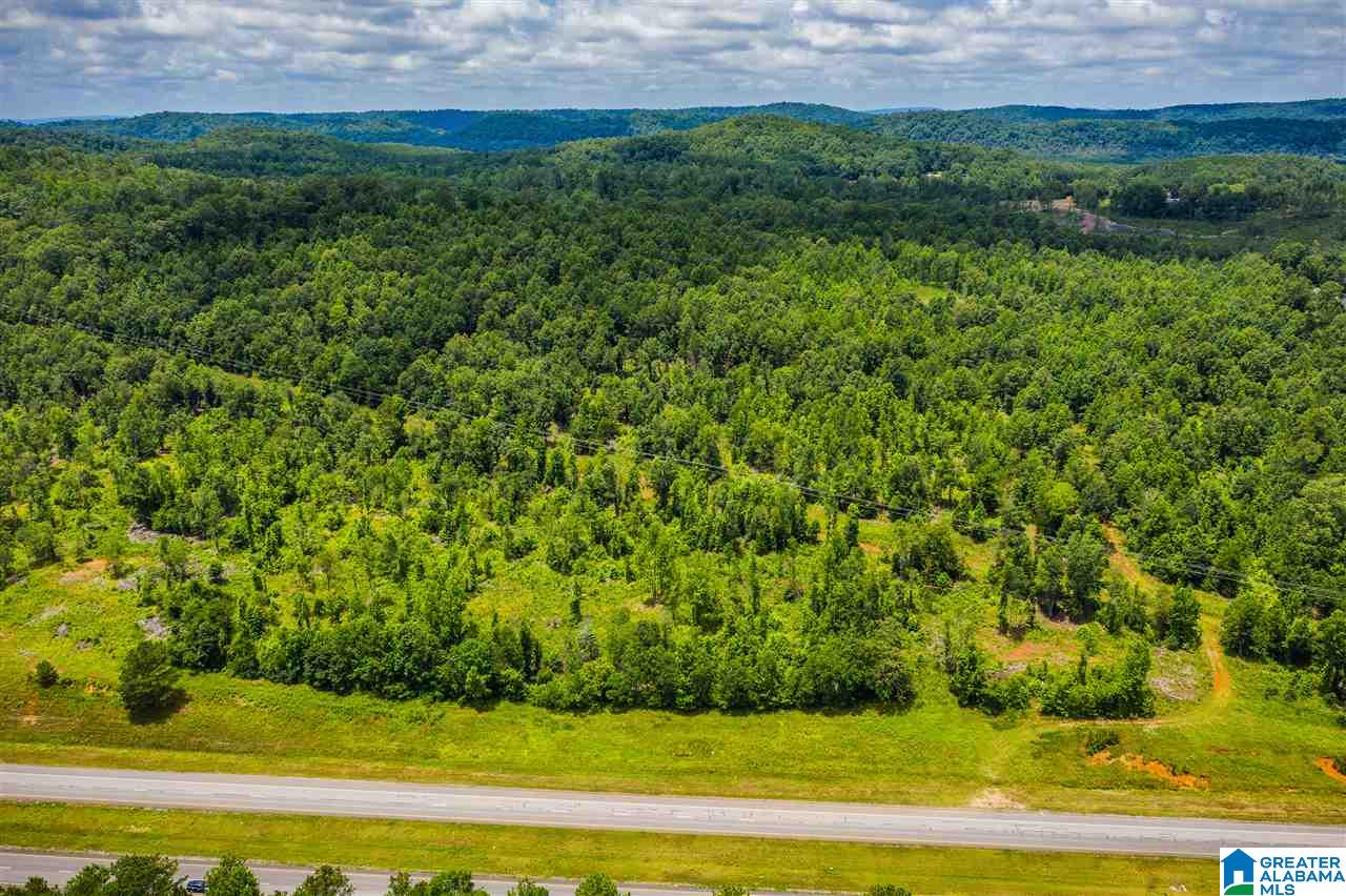 0 Highway 75, Unit 5032 Oneonta, AL 35121 - Photo 4 of 18