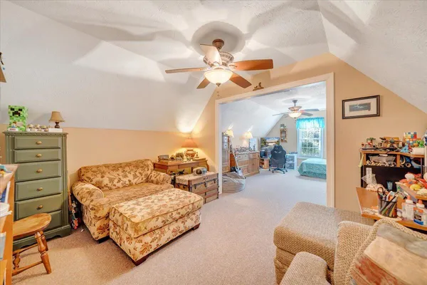 a view of a forest with a tree