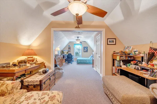 a view of a yard with plants and wooden fence