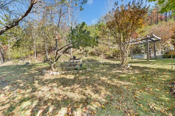 a view of a forest with a building in the background