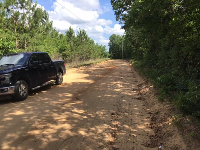 Tbd Red Shadow Road Wagener, SC 29164 - Photo 6 of 11