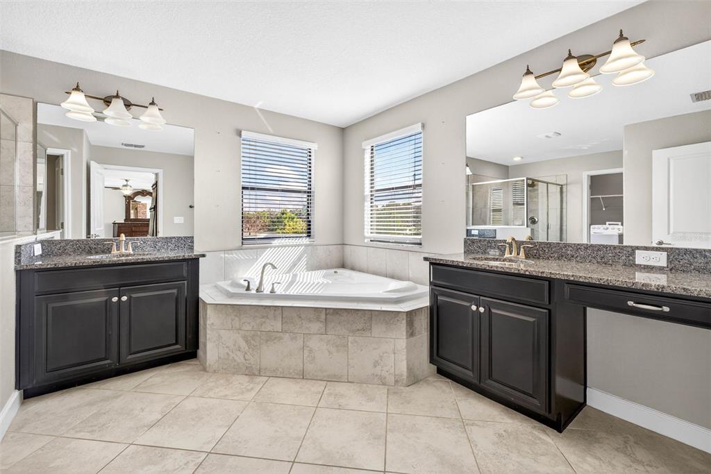 9906 Victory Gallop Loop Ruskin, FL 33573 - Photo 9 of 18 a bathroom with a granite countertop bathtub sink and mirror