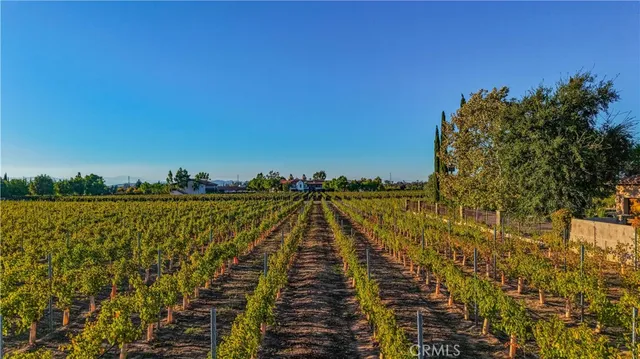 $3,850,000 | 34965 Via Del Ponte Temecula Ca, Temecula, CA 92592