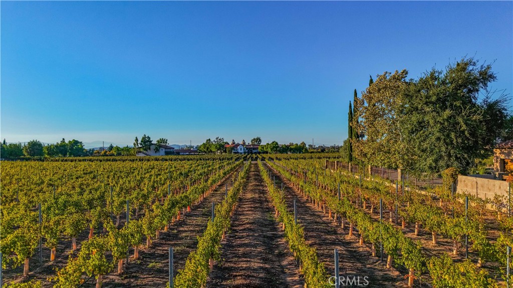 34965 Via Del Ponte Temecula Ca Temecula, CA 92592 - Photo 70 of 75