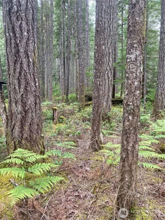 a large yard with lots of green space