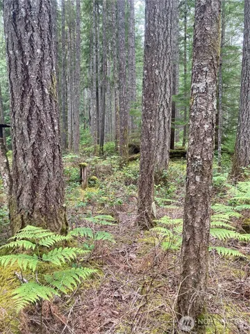 a large yard with lots of green space