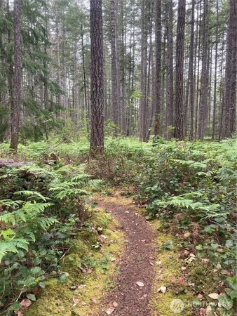 a view of outdoor space with green space