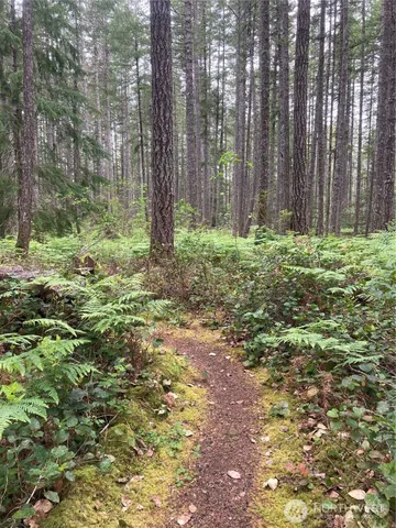 a view of outdoor space with green space