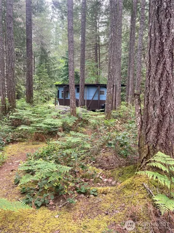 a fire hydrant in the middle of a forest