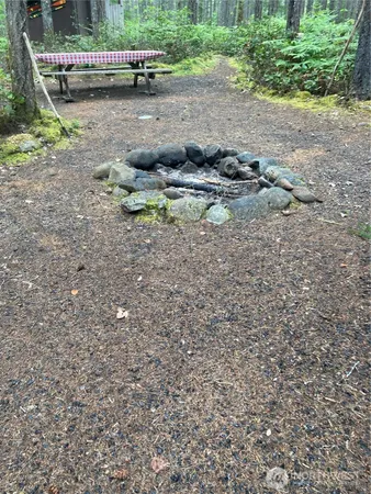 a view of a dry yard with wooden fence