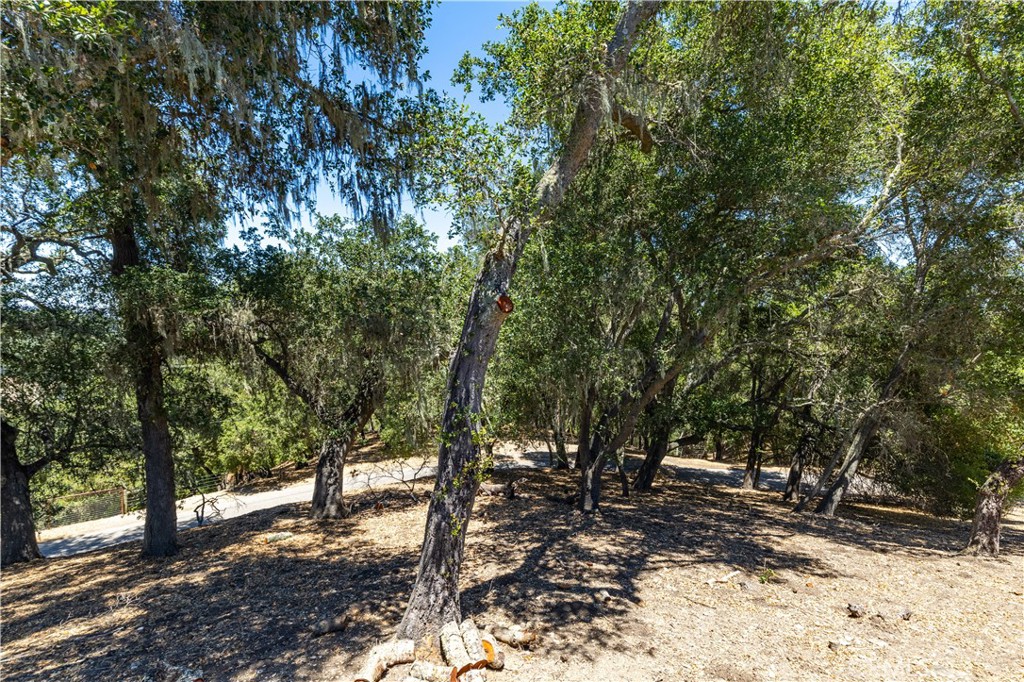7905 San Gregorio Road Atascadero, CA 93422 - Photo 32 of 40