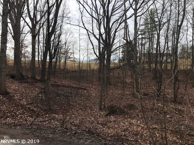 Tbd Pilot Road Christiansburg, VA 24073 - Photo 2 of 3 Gallery Image 2