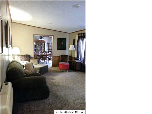 1070 Reads Mill Road Wellington, AL 36279 - Photo 6 of 9