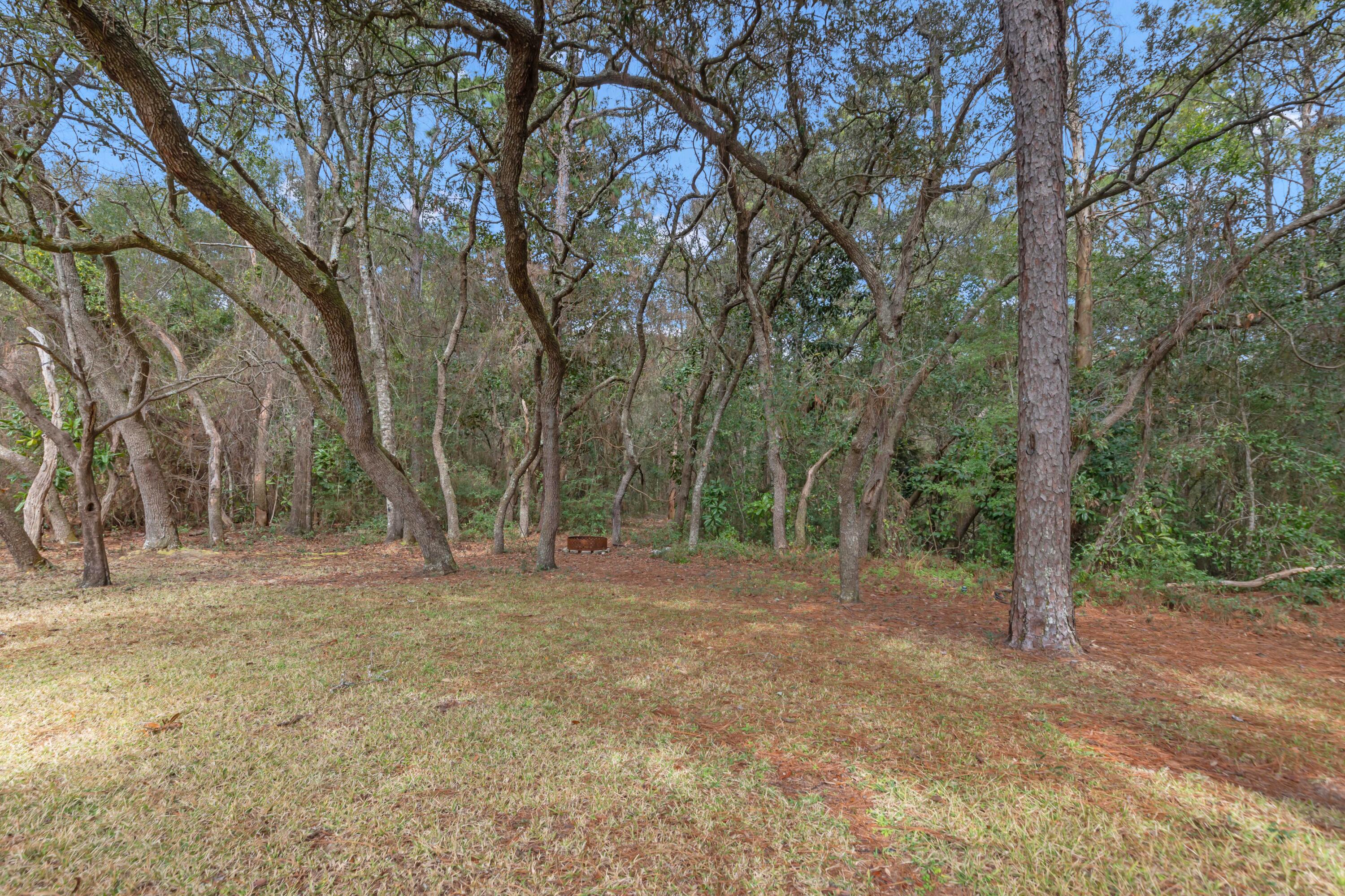 129 12th Avenue Shalimar, FL 32579 - Photo 36 of 36 a view of outdoor space with trees