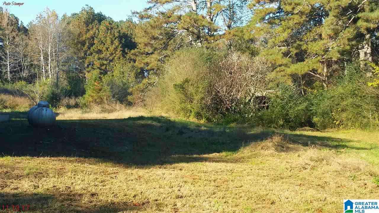 190 Sunset Hl Road Pell City, AL 35128 - Photo 12 of 12